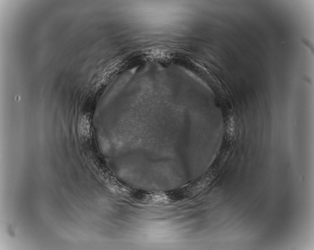 X0000100400715200806201736