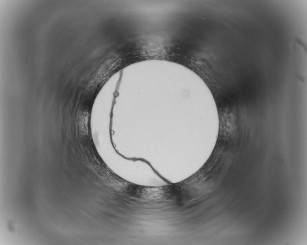 X0000100400717200806201736
