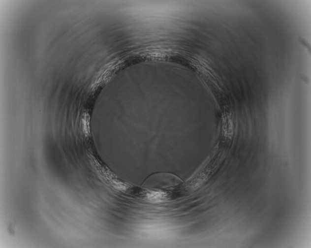 X0000100400718200806201736