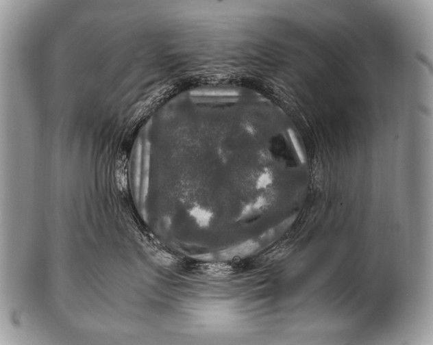 X0000100400719200806201736
