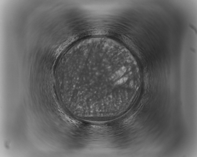 X0000100400721200806201735