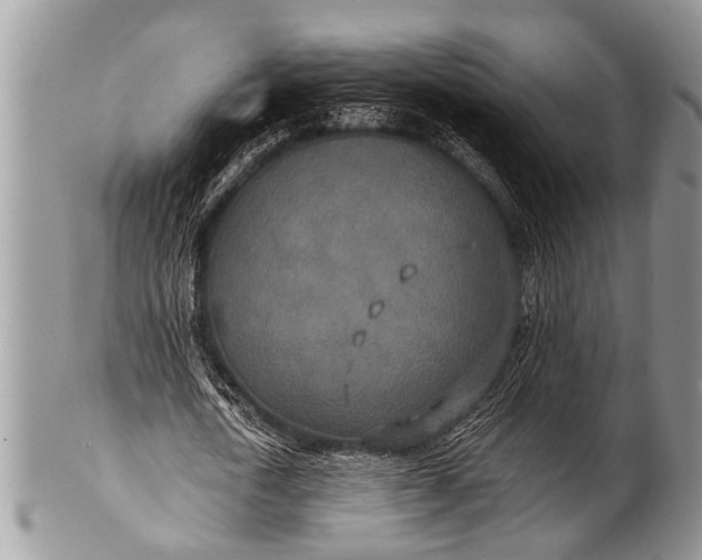X0000100400722200806201735