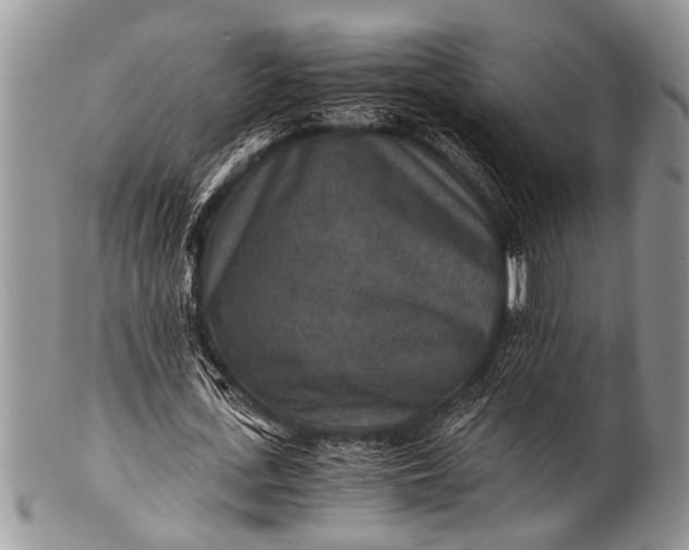X0000100400723200806201735