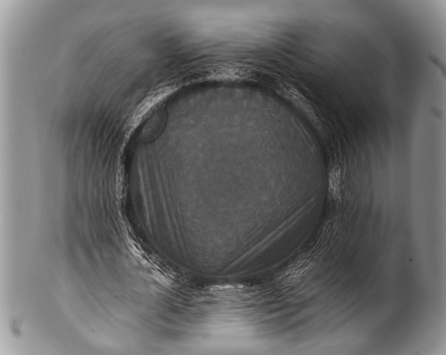 X0000100400724200806201735