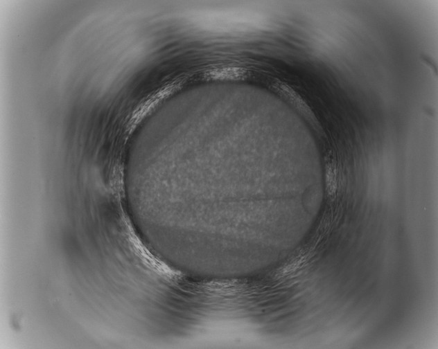 X0000100400725200806201735