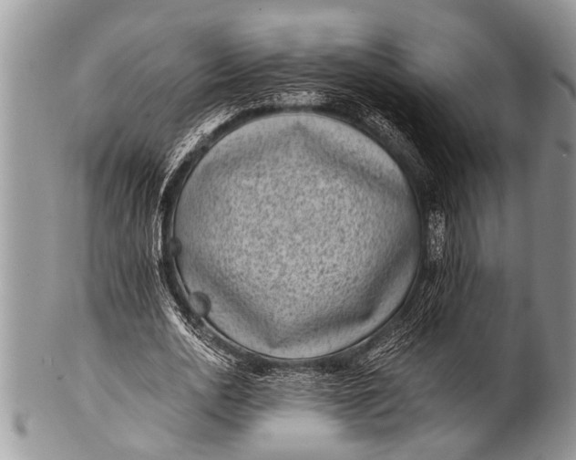 X0000100400726200806201735