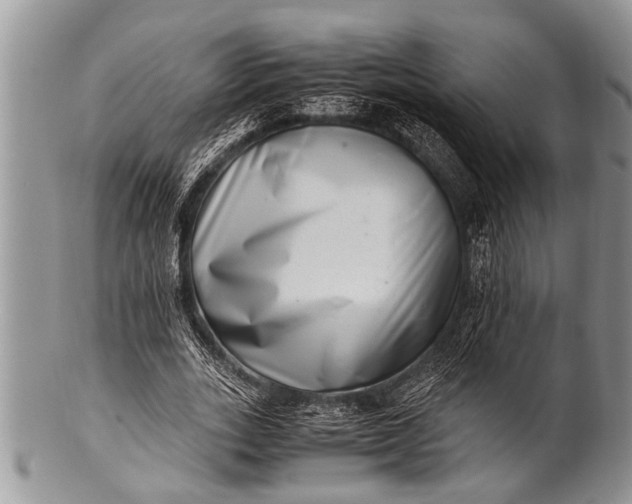 X0000100400727200806201735