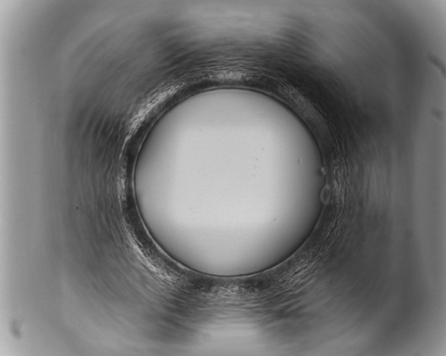 X0000100400728200806201735
