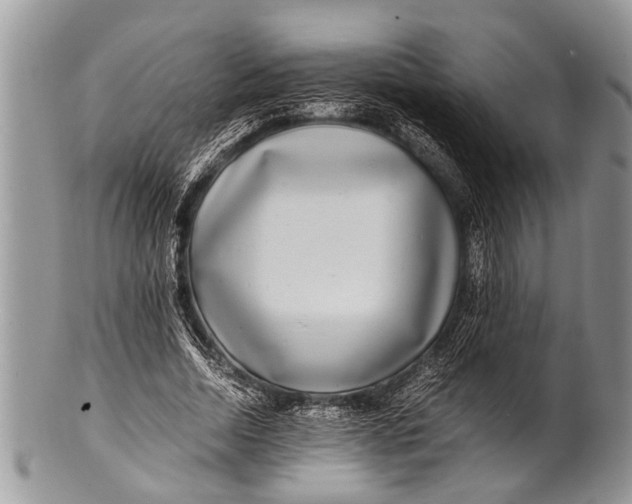 X0000100400730200806201735