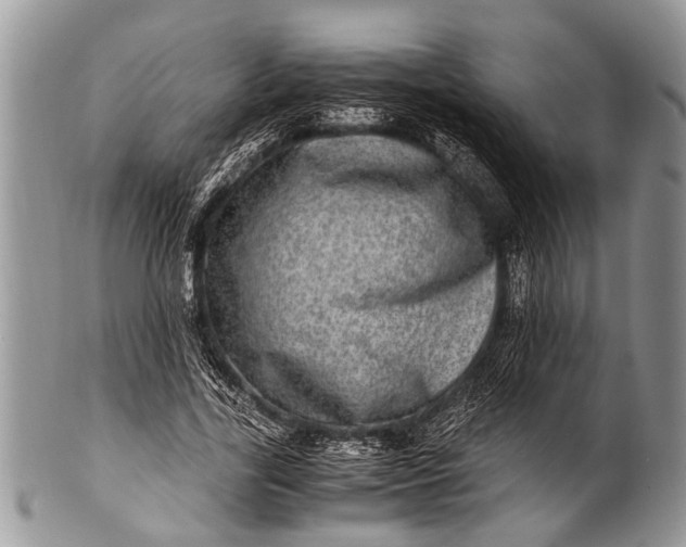 X0000100400731200806201735