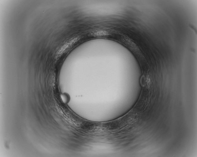 X0000100400732200806201735