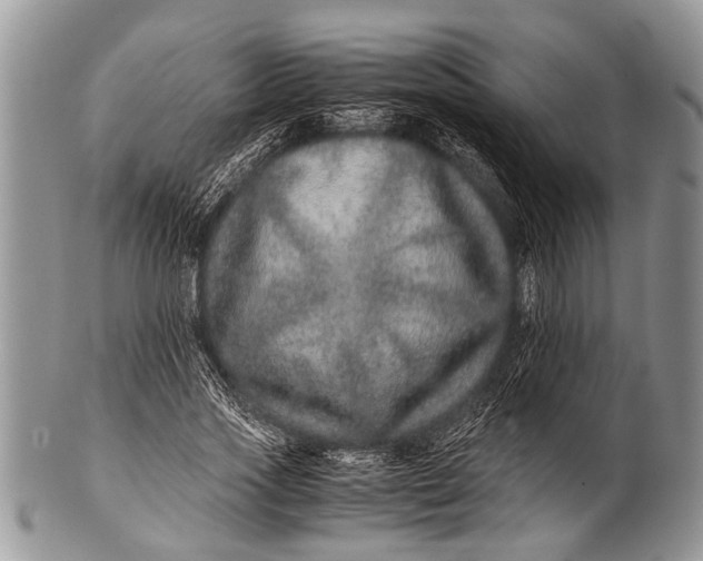 X0000100400733200806201735