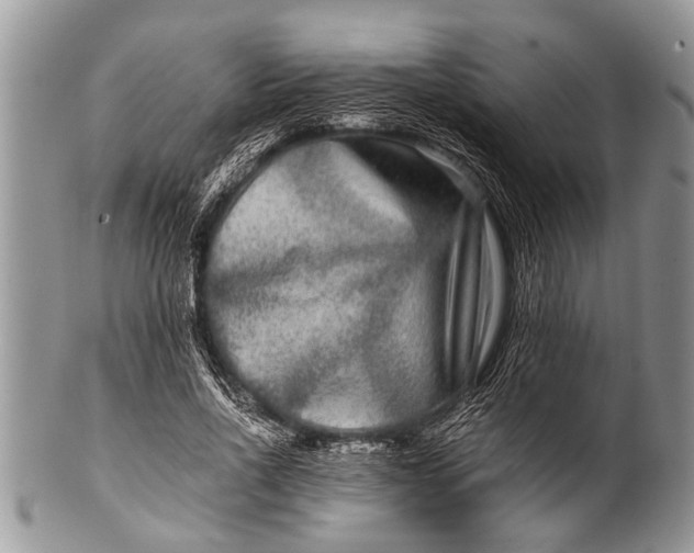 X0000100400734200806201735