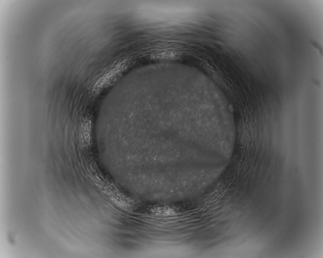 X0000100400735200806201735