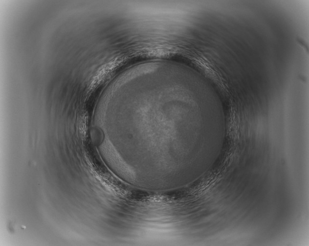 X0000100400736200806201735
