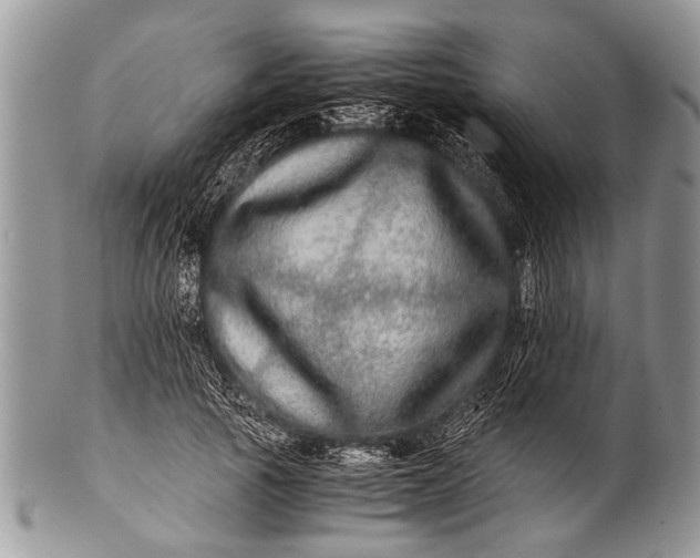 X0000100400737200806201735
