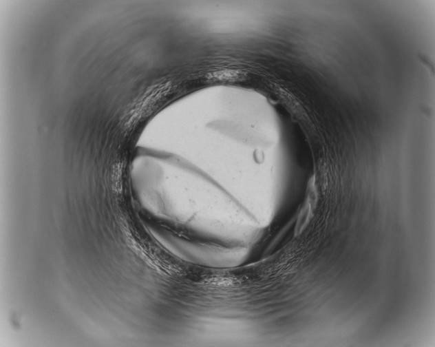 X0000100400738200806201735
