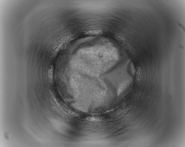 X0000100400739200806201735