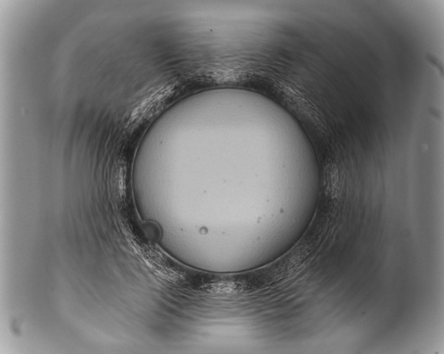 X0000100400740200806201735