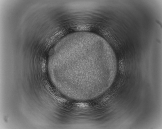 X0000100400741200806201735
