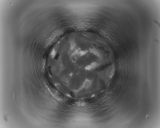 X0000100400742200806201735