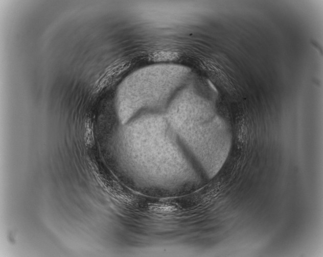 X0000100400743200806201736