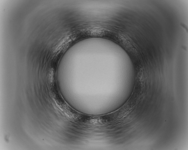 X0000100400744200806201736