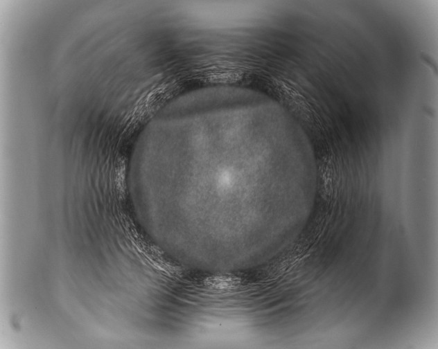 X0000100400745200806201736