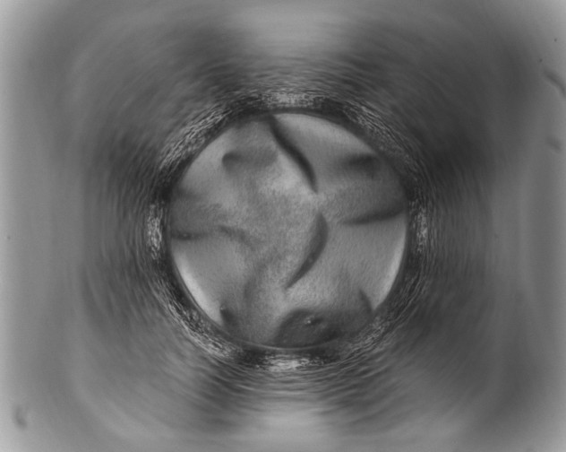 X0000100400746200806201736