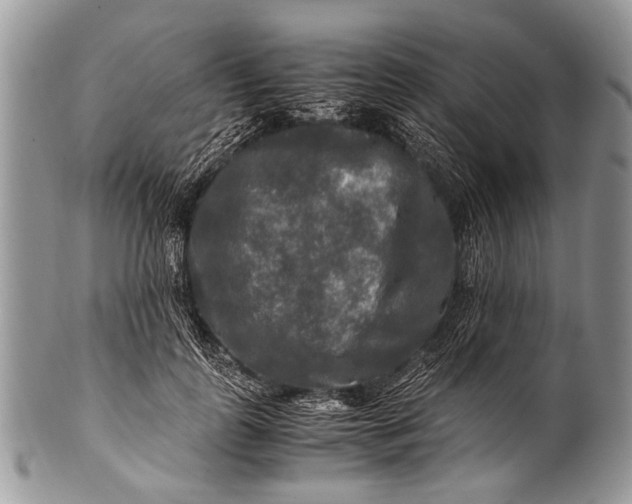 X0000100400747200806201736