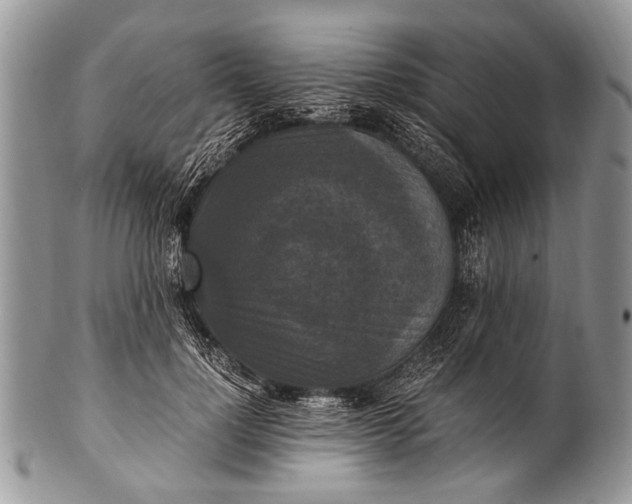 X0000100400748200806201736