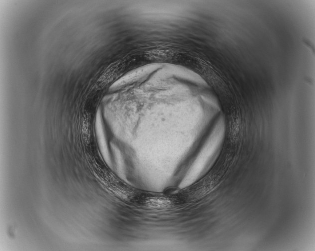X0000100400749200806201736