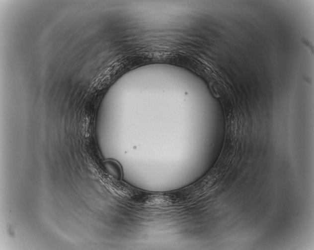 X0000100400750200806201736
