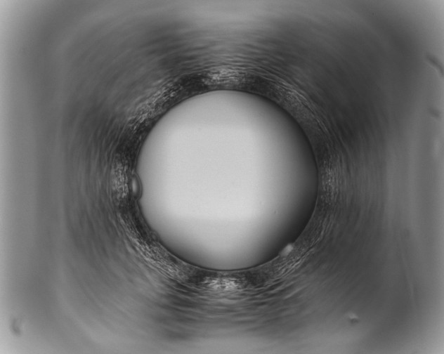 X0000100400751200806201736