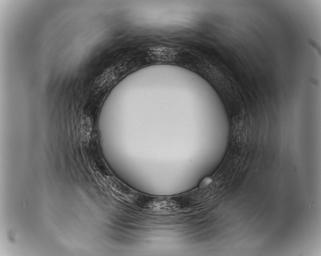 X0000100400752200806201736