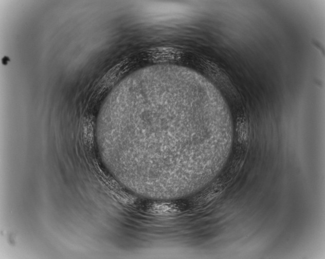 X0000100400753200806201736