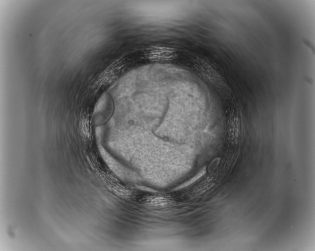 X0000100400755200806201736