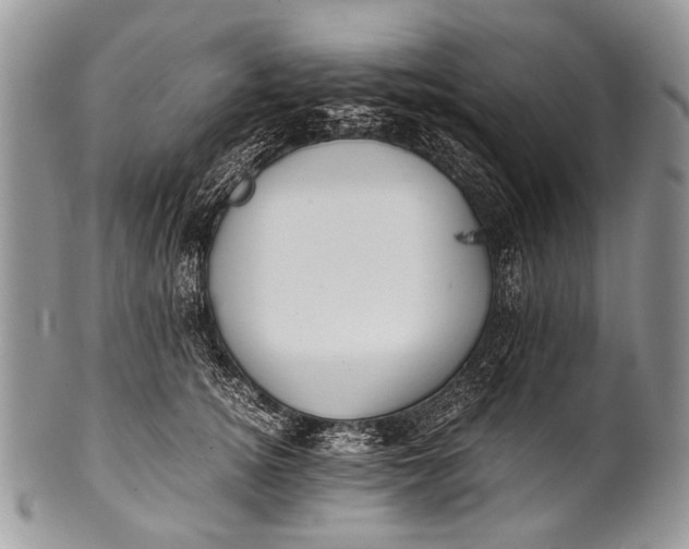 X0000100400756200806201736