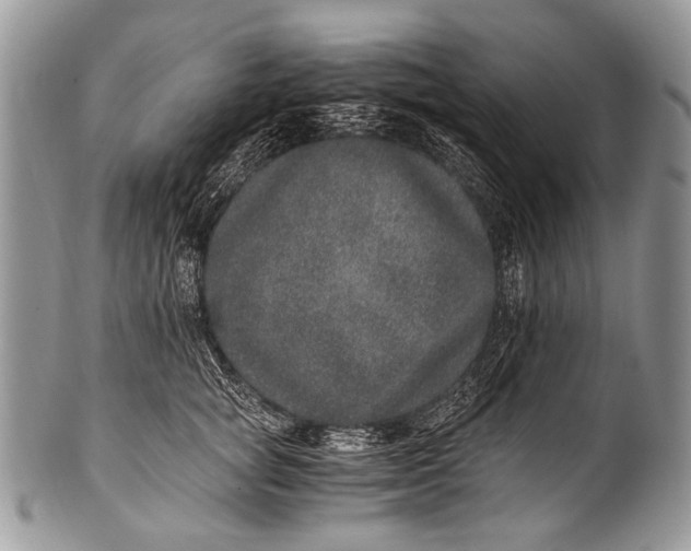 X0000100400757200806201736