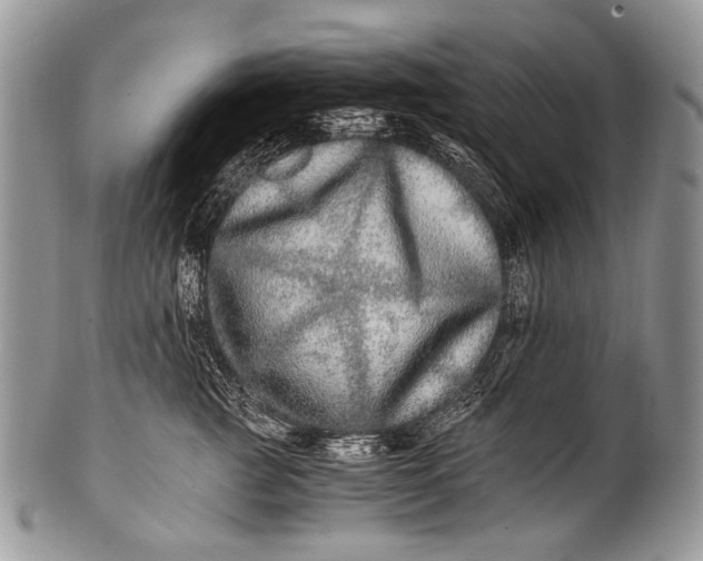X0000100400761200806201736