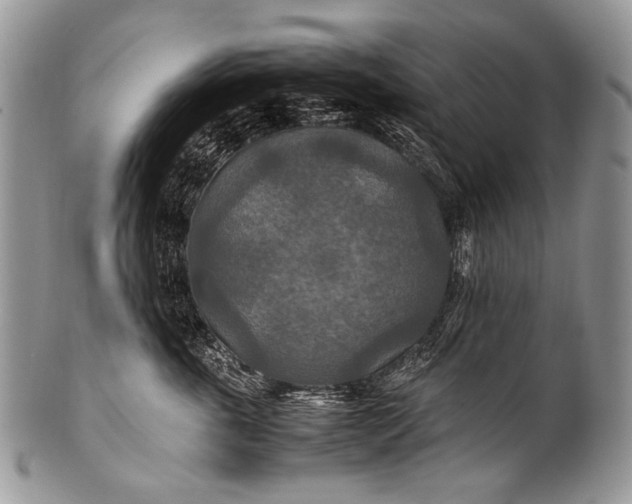 X0000100400763200806201736