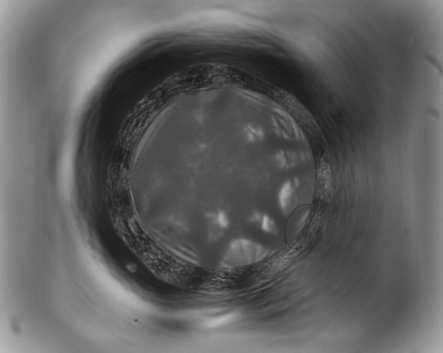 X0000100400765200806201736