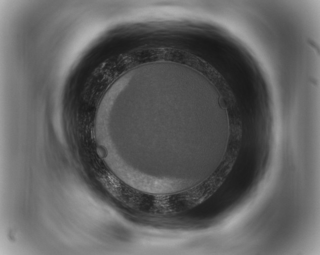X0000100400766200806201736
