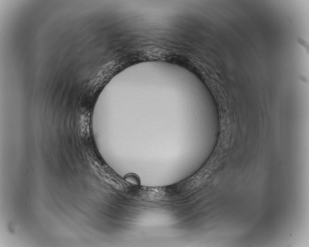 X0000100400768200806201736