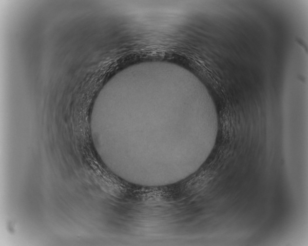 X0000100400769200806201735