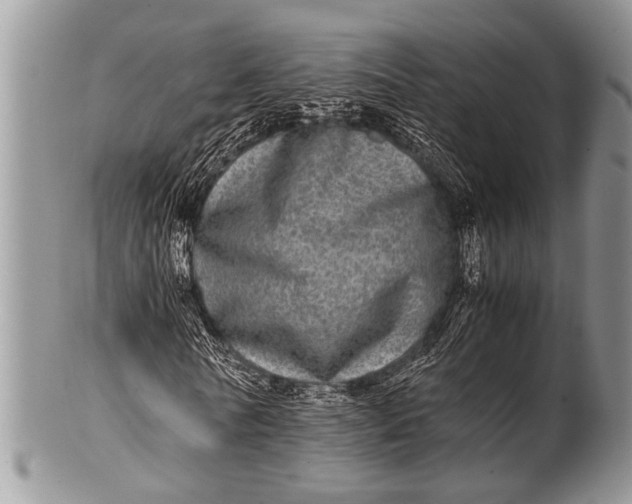 X0000100400770200806201735