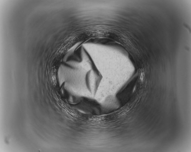 X0000100400771200806201735