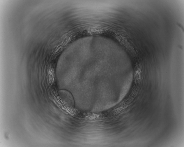 X0000100400772200806201735