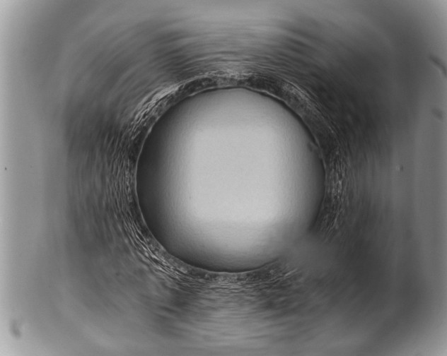 X0000100400773200806201735