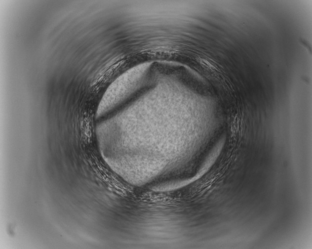 X0000100400774200806201735